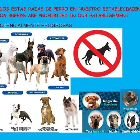 דירות Oviedo Centro-Plaza Longoria מראה חיצוני תמונה